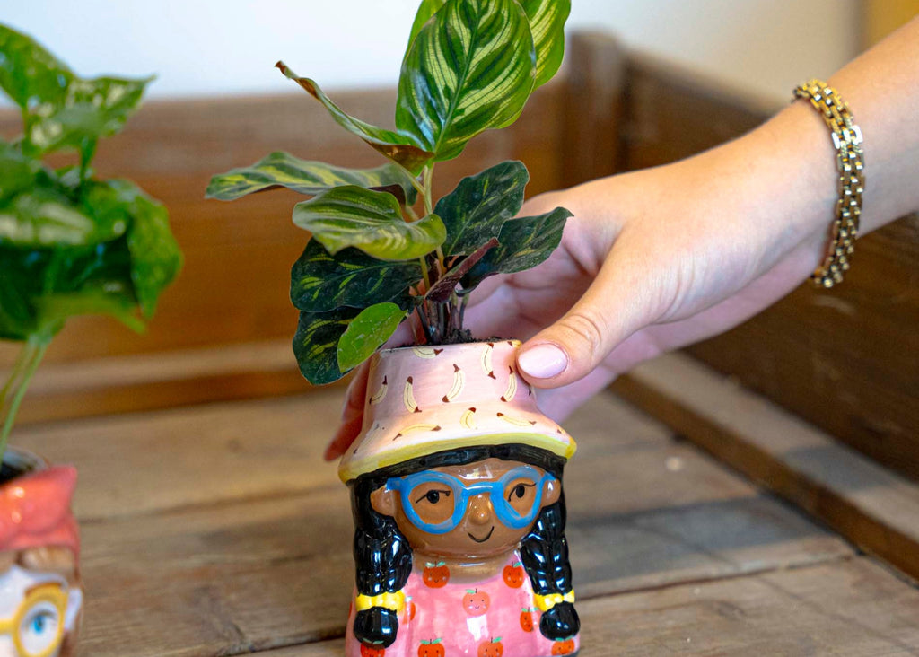 Mini Flower Pot Multi Color – Mini Jill - ↑ 10.2 cm - Face Head